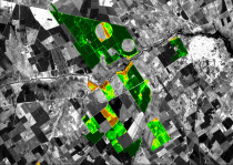 Pixagri - Processed Satellite Image of Parcels