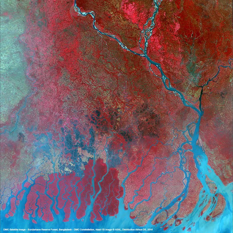 DMC Constellation Satellite Image - Sundarbans Reserve Forest, Bengladesh