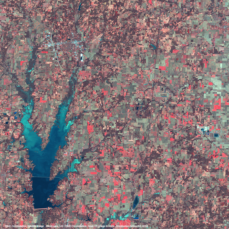 DMC Constellation Satellite Image - Rend Lake, United States