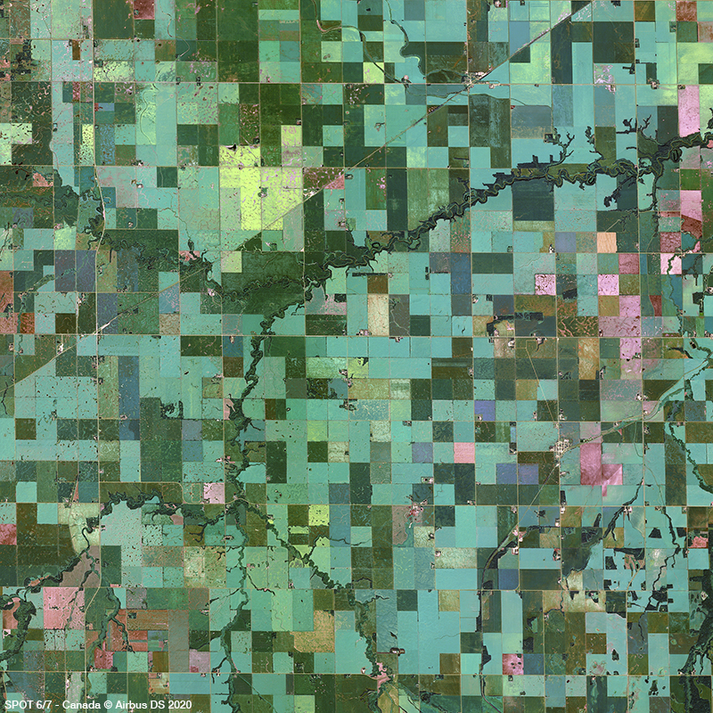 SPOT 6/7 - Agricultural fields - Canada
