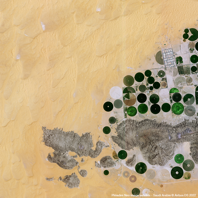 Pléiades Neo - Farming in Al Khitah in Saudi Arabia