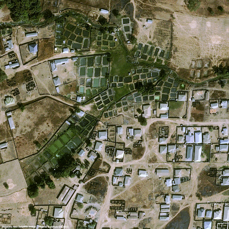 Pléiades Neo - Catfish in Nigeria