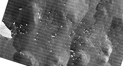 TerraSAR-X radar image of Iceberg B17B drifting between Antarctica and Australia