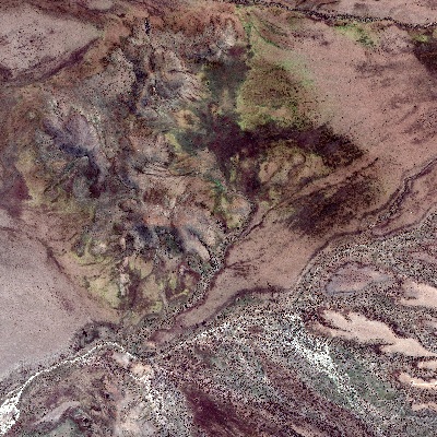 Climate change serie - Flowering of the Atacama Desert, Chile