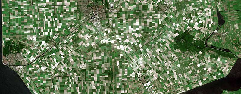 Airbus Satelite Imagery SPOT Optical Agriculture fields