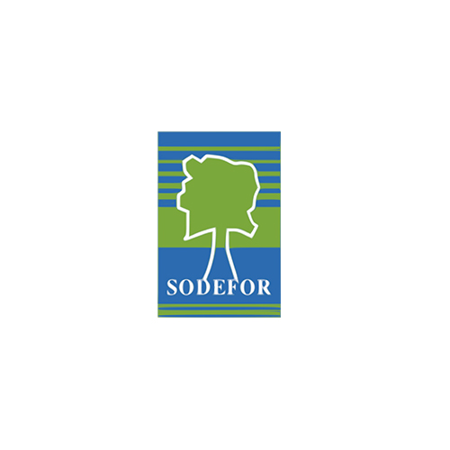 	Sodefor Logo