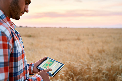  Verde In season Analysis Agriculture Airbus
