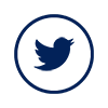 Twitter Icon