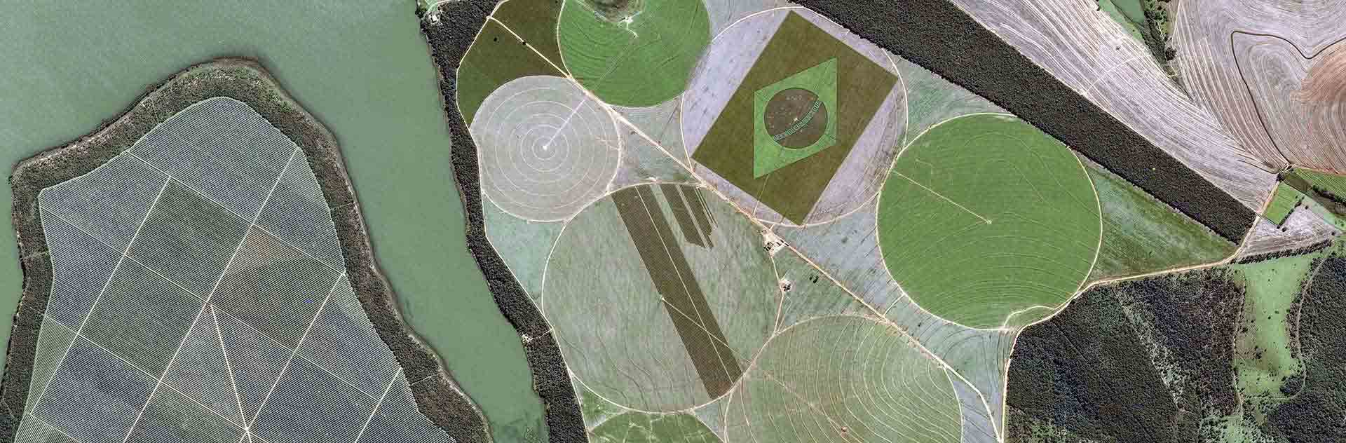 Brazil, Grassland Production