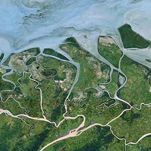 Satellite image Pléiades Neo - Mangrove - Myanmar