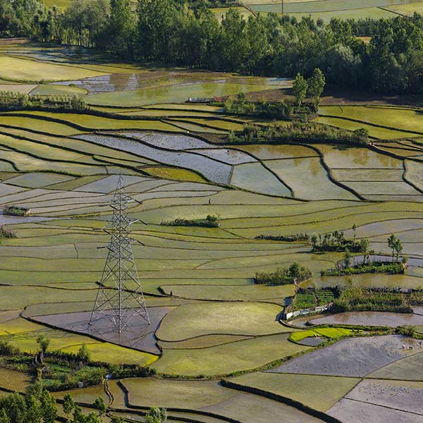 Rice mapping monitoring Rice mapping monitoring