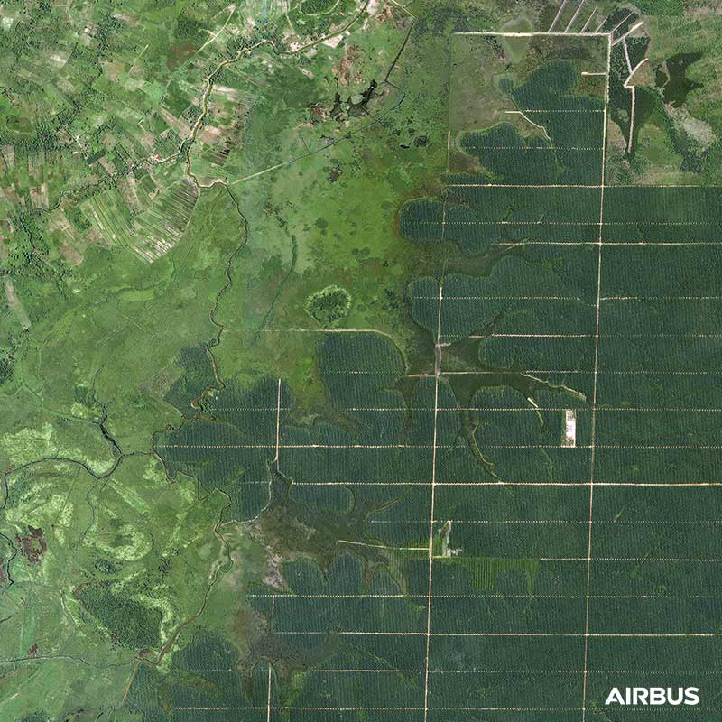 Pléiades - Palm Oil Plantations, Indonesia - CNES 2018, Distribution Airbus DS