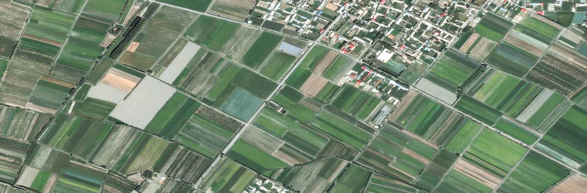 Satellite view of agricultural fields in Samarkand region, Uzbekistan