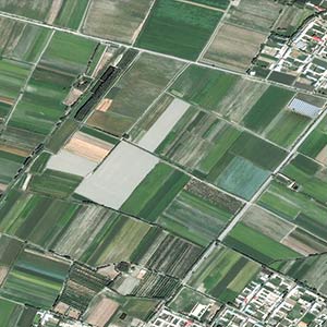 Satellite view of agricultural fields in Samarkand region, Uzbekistan