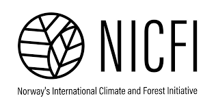 NICFI logo