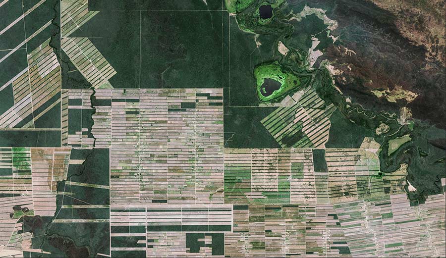 SPOT 6 - Bolivia - Deforestation NICFI