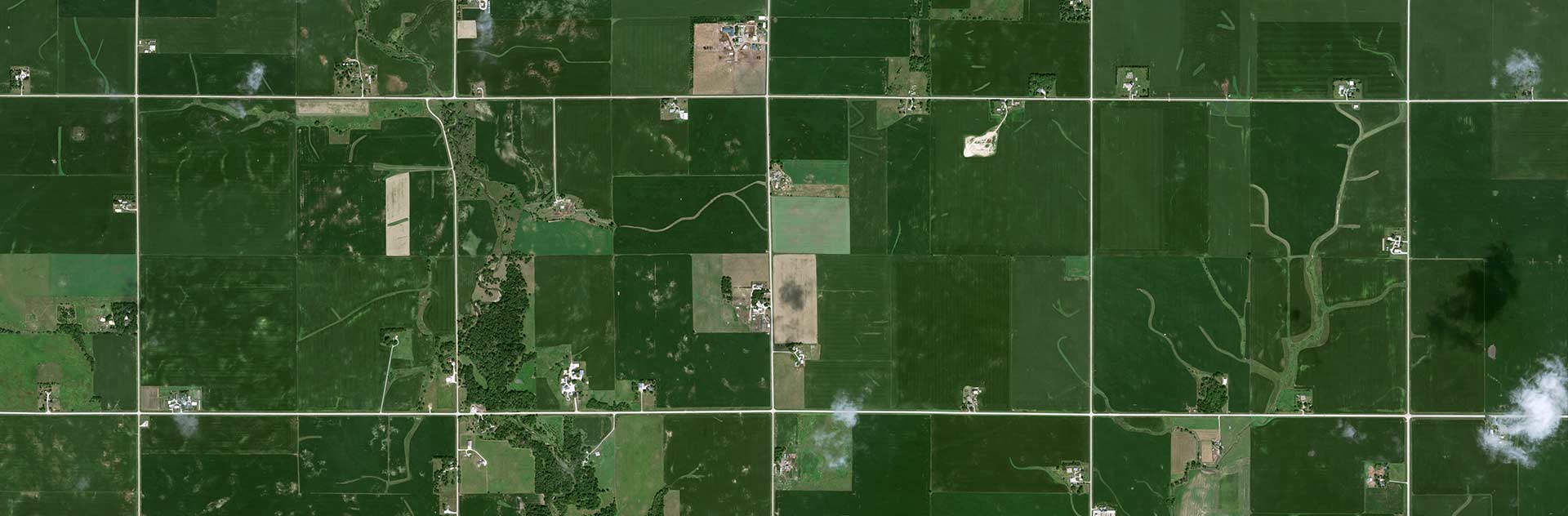 Pléiades Neo satellite image - 30 cm resolution - Corn in Iowa USA - Sustainability