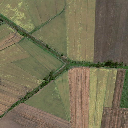 Pléiades Neo - Rice Fields - Óc Eo, An Giang, Vietnam -30cm Resolution