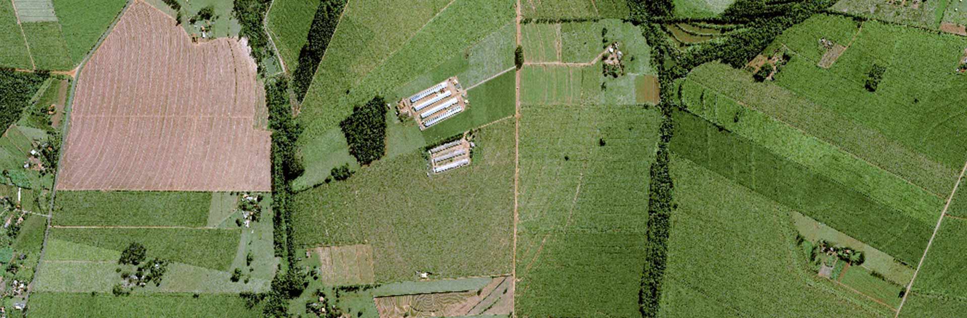 Pléiades Neo image acquired near Astorga in the State of Paraná. 30cm resolution