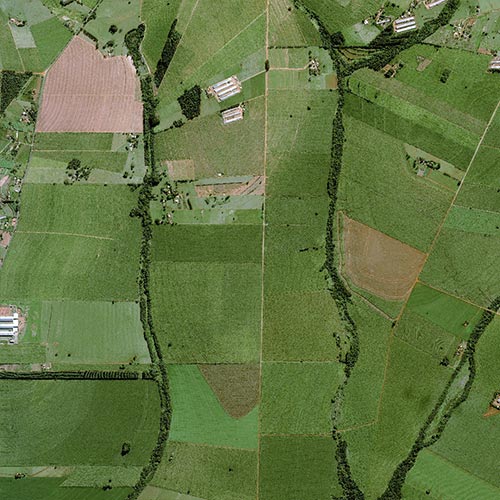 Pléiades Neo image acquired near Astorga in the State of Paraná. 30cm resolution