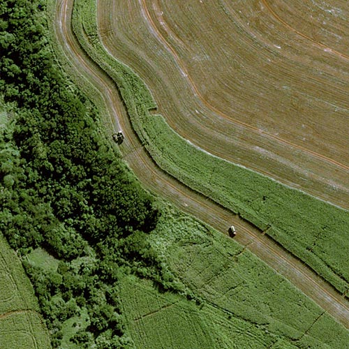Pléiades Neo image acquired near Astorga in the State of Paraná. 30cm resolution