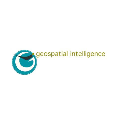 Geospatial Intelligence logo