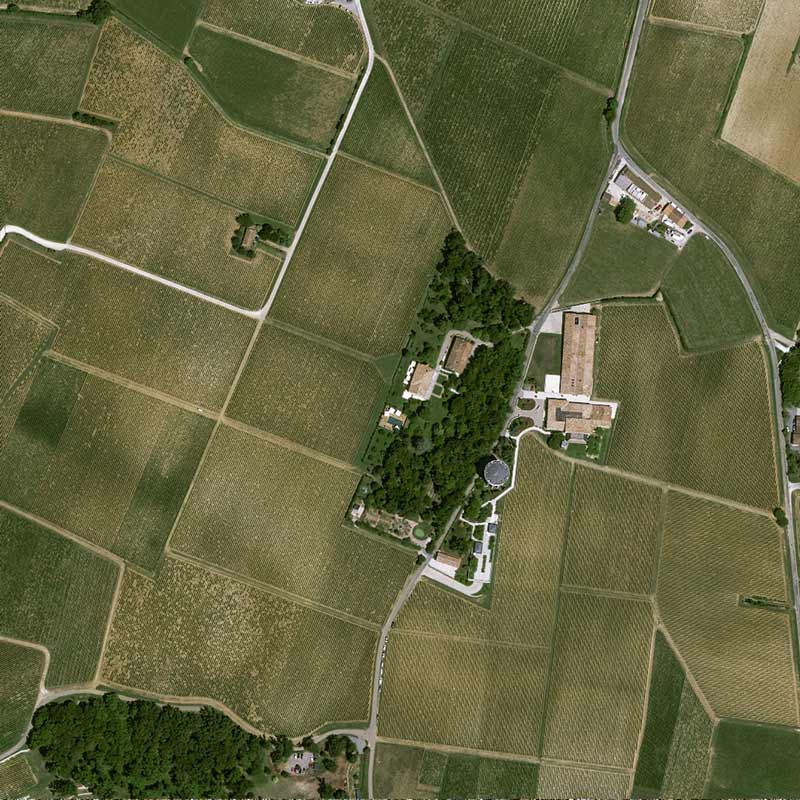 Pléiades Neo satellite image - Vines in Saint-Emilion, France - 30cm resolution