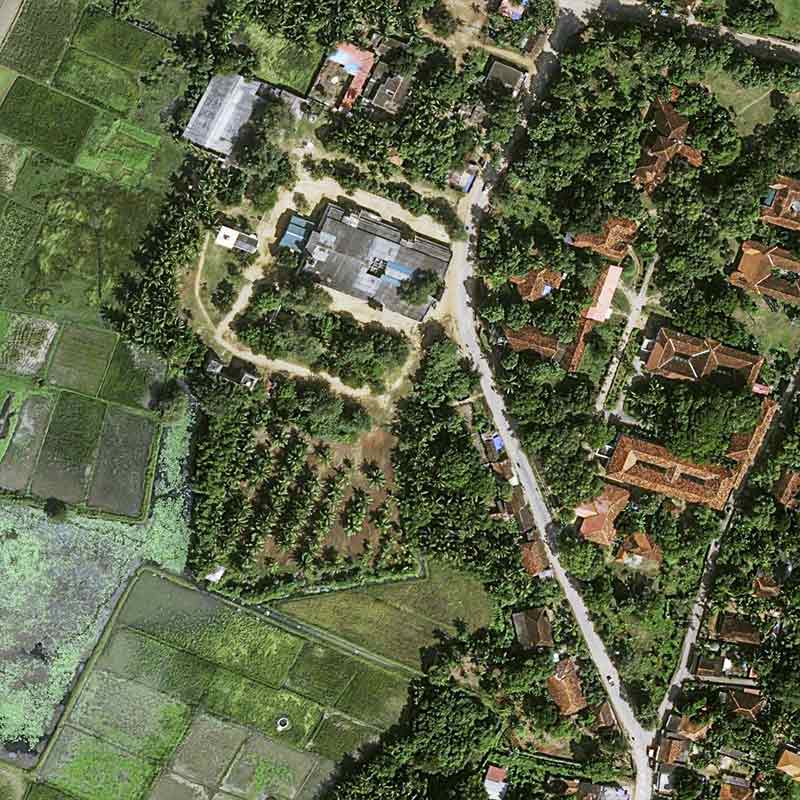Pléiades Neo image satellite - Coconut Plantation - Sri Lanka, Manipay 30cm resolution
