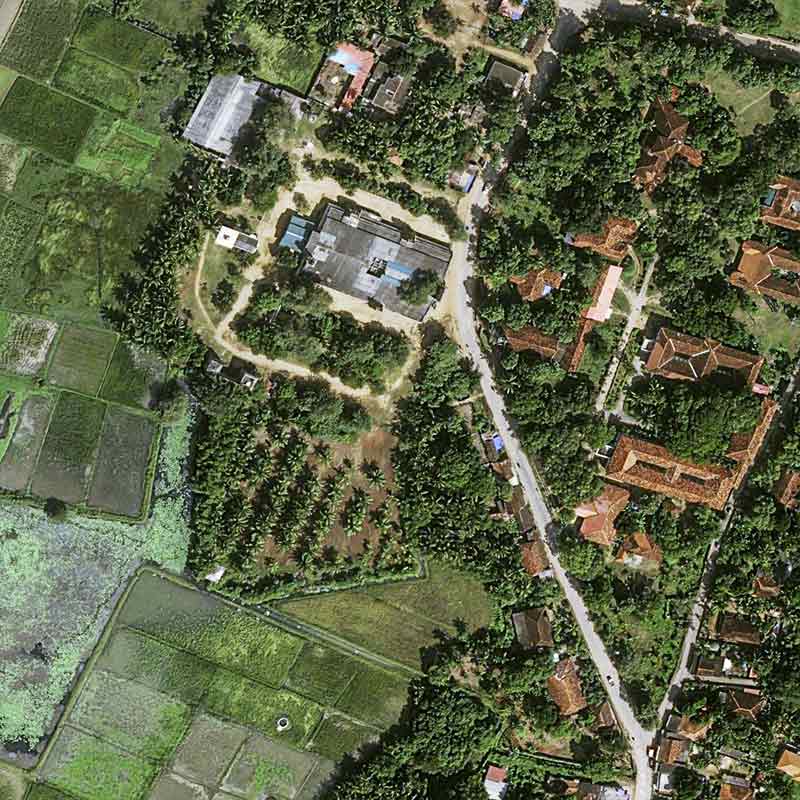 Pléiades Neo image satellite - Coconut Plantation - Sri Lanka, Manipay 30cm resolution