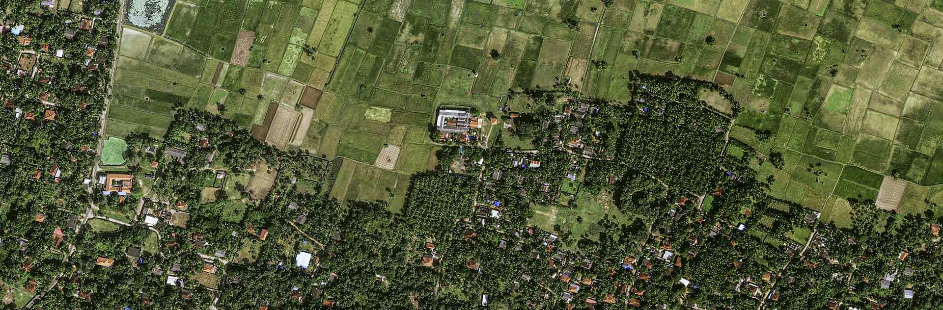 Pléiades Neo image satellite - Coconut Plantation - Sri Lanka, Manipay 30cm resolution