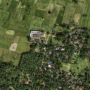 Pléiades Neo image satellite - Coconut Plantation - Sri Lanka, Manipay 30cm resolution