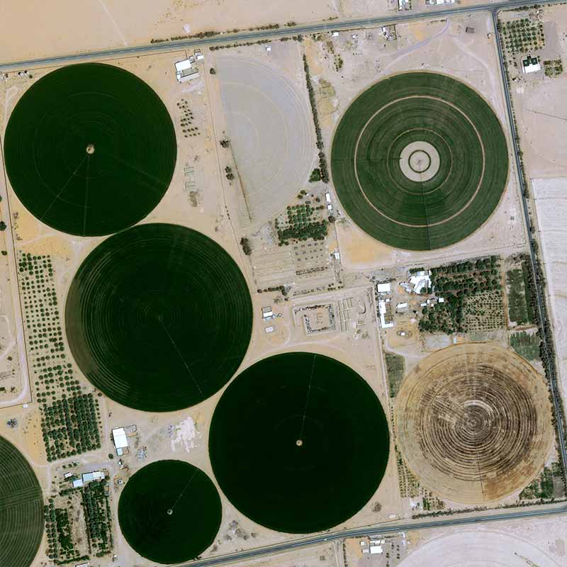 Since 1985, Saudi Arabia has launched a program to install agricultural farms in the desert.