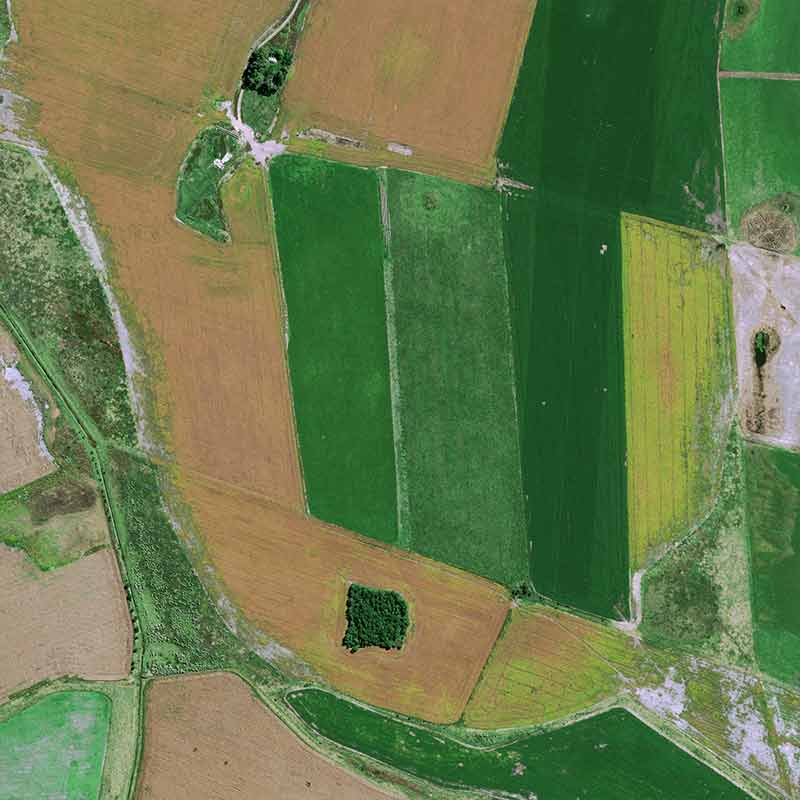 Pléiades Neo image shows cattle breeding concentrated around farms and soybean cultivation spread out between them on huge plots