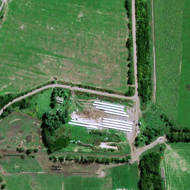 Pléiades Neo image shows cattle breeding concentrated around farms and soybean cultivation spread out between them on huge plots