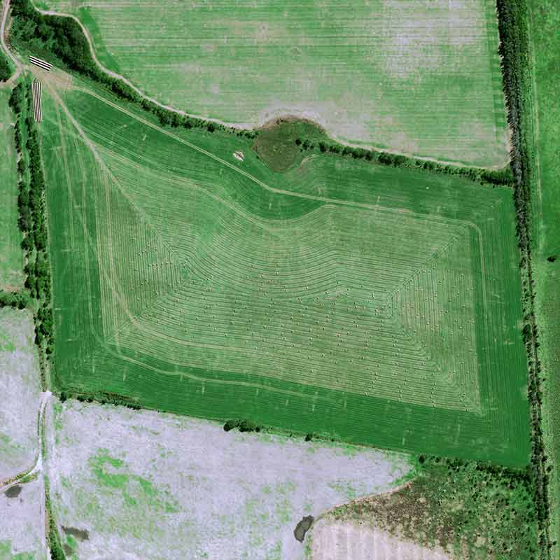 Pléiades Neo image shows cattle breeding concentrated around farms and soybean cultivation spread out between them on huge plots
