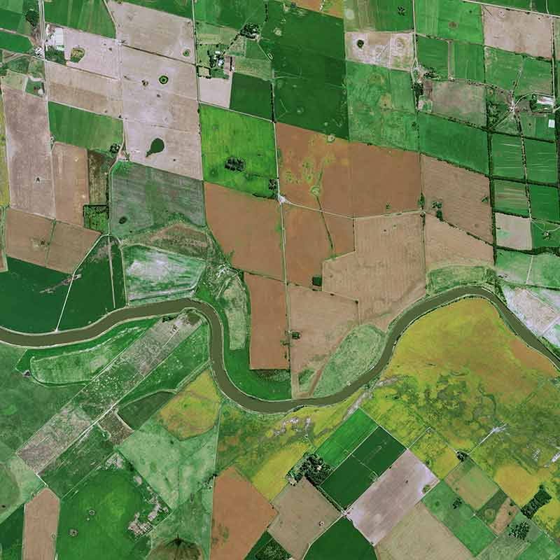 Pléiades Neo image shows cattle breeding concentrated around farms and soybean cultivation spread out between them on huge plots