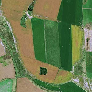  Pléiades Neo image shows cattle breeding concentrated around farms and soybean cultivation spread out between them on huge plots