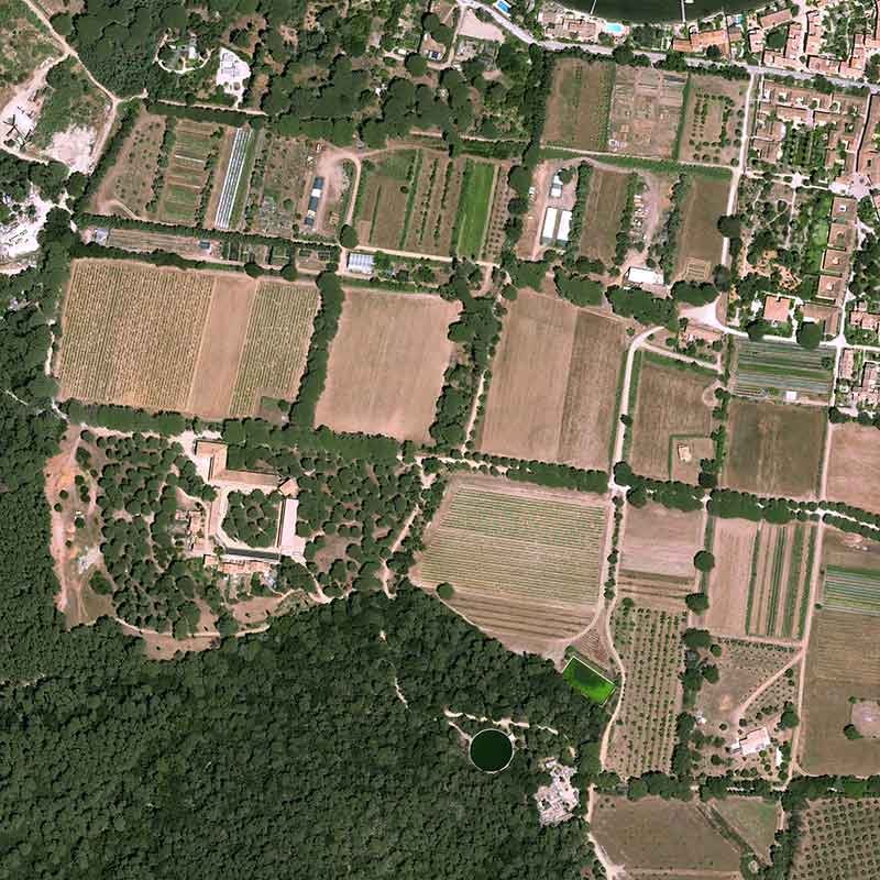Pléiades Neo satellite image - Botanical Conservatory of Porquerolles, France - 30cm resolution 