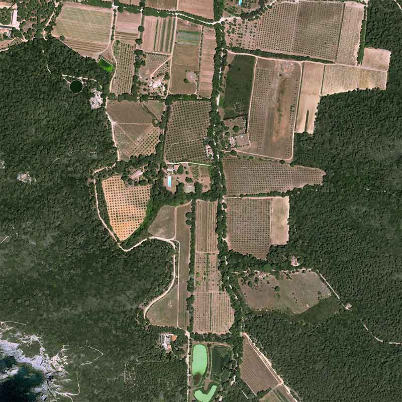 Pléiades Neo satellite image - Botanical Conservatory of Porquerolles, France - 30cm resolution 