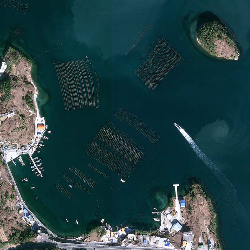 Pléiades Neo - Tongyeong, South Korea -30cm resolution