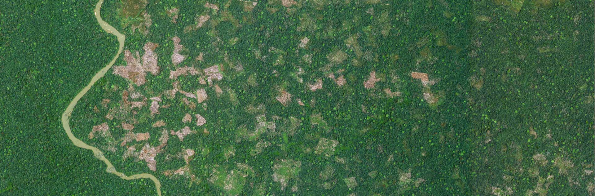 Satellite Image Pléiades,  Ivory Coast Tempo Liberia Forest  February 2019 - 50cm resolution