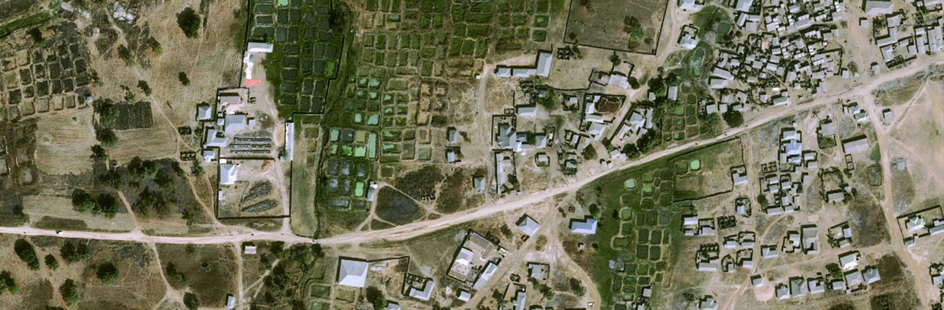 Pléiades Neo satellite image - New Bussa City near Lake Kainji in western Nigeria - 30cm resolution