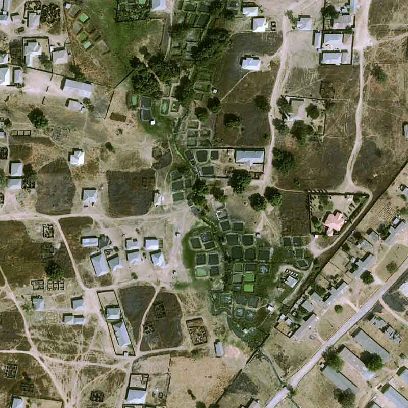 Pléiades Neo satellite image - New Bussa City near Lake Kainji in western Nigeria - 30cm resolution