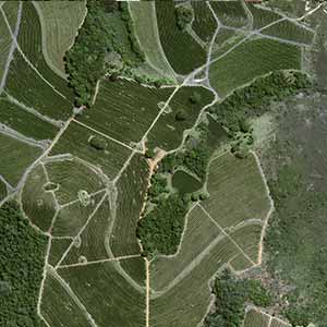 Nestlé to pilot Airbus Intelligence new very high-resolution Pléiades Neo satellites to monitor its reforestation efforts in its sourcing locations remotely and in real time.