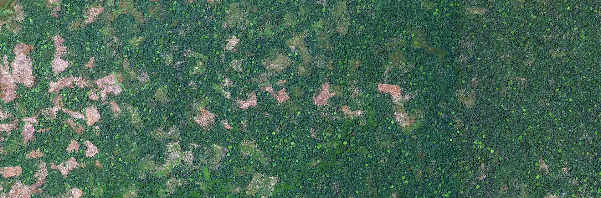 Pléiades Image satellite - Côte d'Ivoire - Starling - 50cm resolution