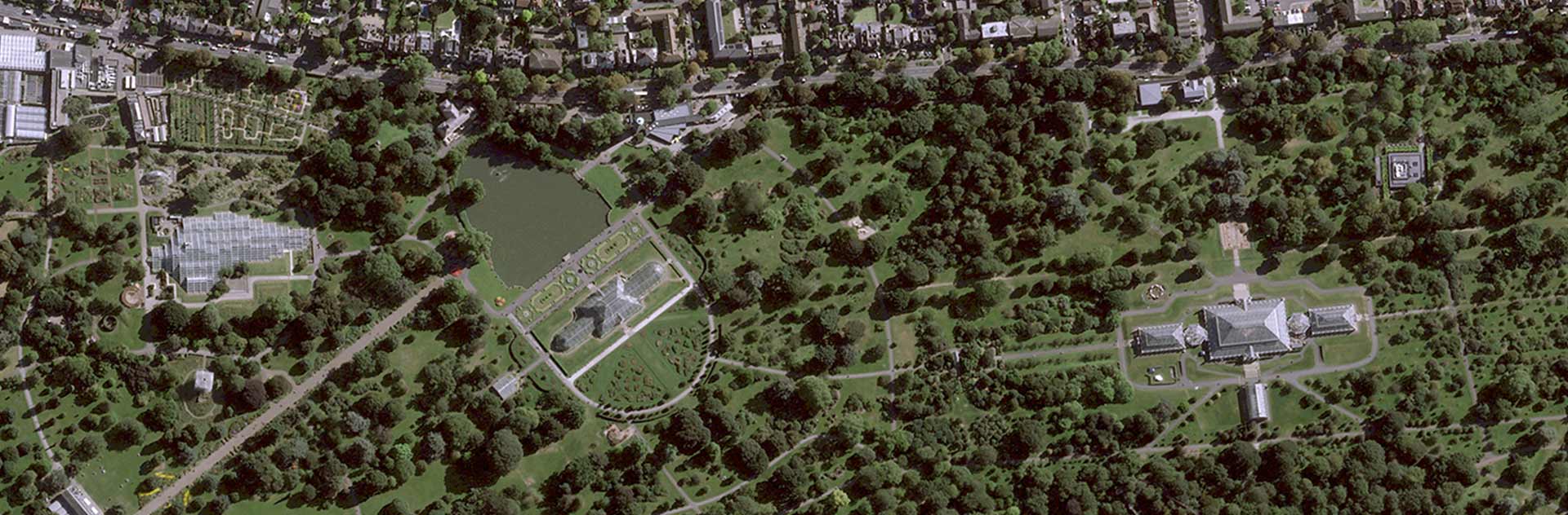 Pléiades Neo Image satellite - Royal Botanic Gardens of London Kews Gardens - 30cm resolution