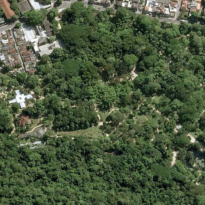 Pléiades Neo image satellite - The Botanical Garden of Rio de Janeiro in Brazil - 30cm resolution