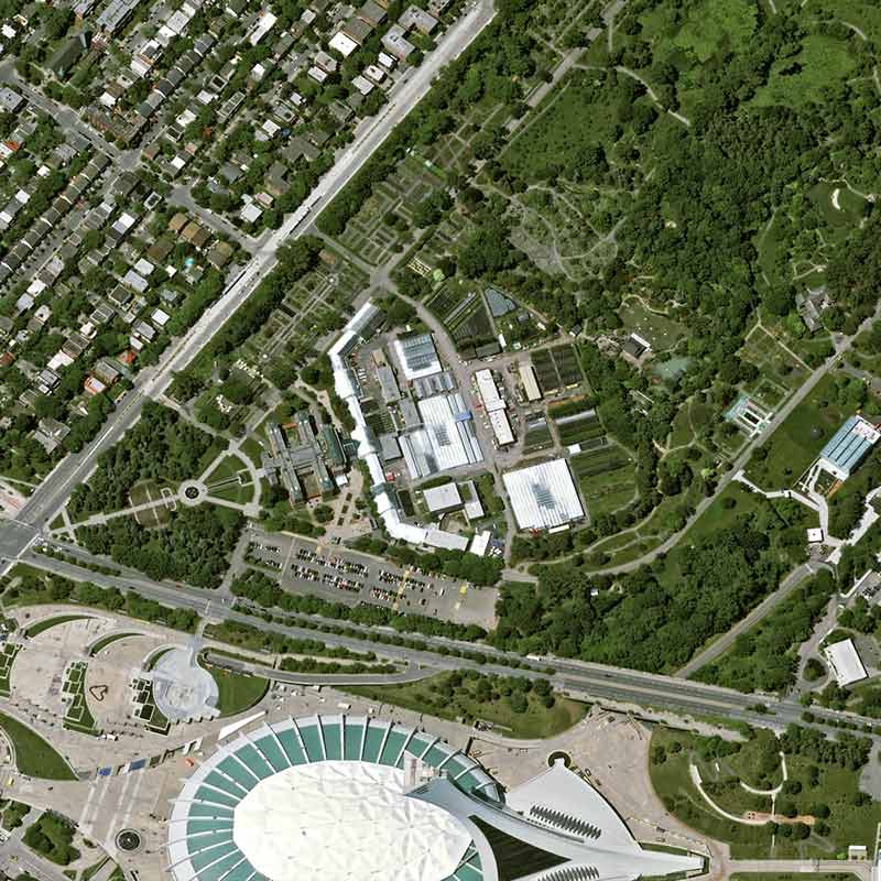Pléiades Neo satellite image - The Botanical Garden of Montreal, Canada - 30cm resolution