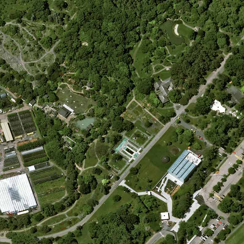 Pléiades Neo satellite image - The Botanical Garden of Montreal, Canada - 30cm resolution