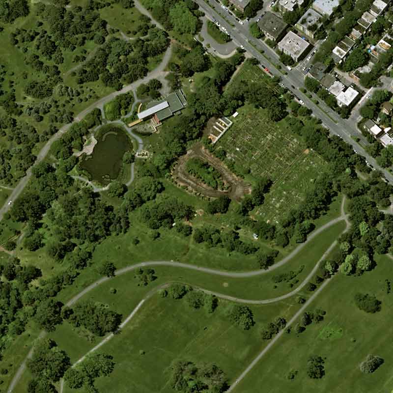 Pléiades Neo satellite image  - The Botanical Garden of Montreal, Canada - 30cm resolution
